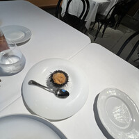 THE ROSE - 