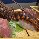 北の幸 - 伊勢海老