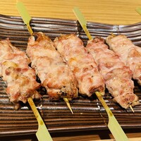 鳥ばか一代 - 