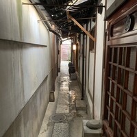 雪梅花 菜根譚 - 