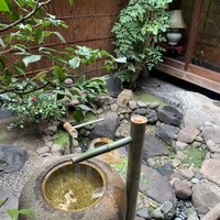 雪梅花 菜根譚 - 