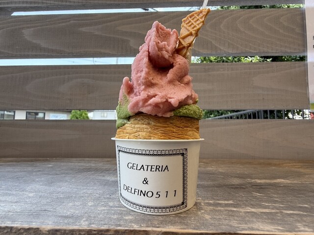 Gelateria & Delfino 511 のジェラート