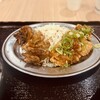 親子丼と鶏料理 鶏山賊 - 山賊焼き合盛り定食 山口･長野山賊ハーフ　