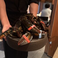 PLEIN 銀座本店 - 