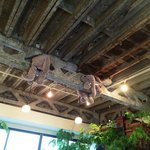 シンハ - 天井に象