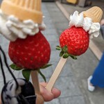 冷凍プリンソフト - 