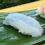 亀庄寿司 - ヤリイカ