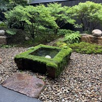 しろ - 