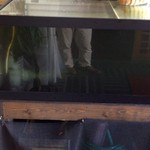 Shinshu Soba Dokoro Yamahei - イワナがいたと思われる水槽。ブクブクはしているが水は濁って緑色(>_<)