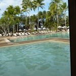 Sheraton Mirage Port Douglas Resort - ホテルのカフェから見たプール