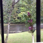 中国料理 翆陽 - 中庭が綺麗