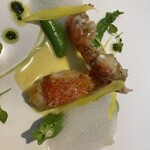 Gentillesse KOMACHI - 