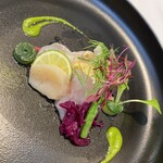 Gentillesse KOMACHI - 