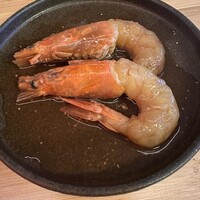 STEAMAN - 