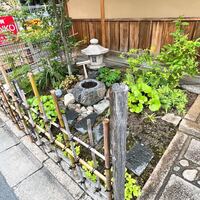 奈良 而今 - 