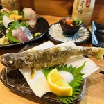 酒処TaRo - 岩魚です。