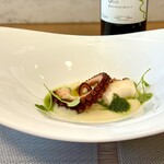 prospero - タコとマッコディファーベ