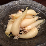 鳥茂 - らっきょう