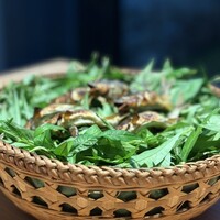 かんだ - 伊達稚鮎　　