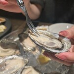 オストレア oysterbar&restaurant  - 