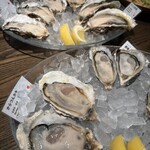 オストレア oysterbar&restaurant  - 