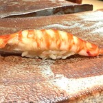 鮨ひじり - 【 車海老 】