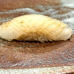 鮨ひじり - 【 はりいか 】