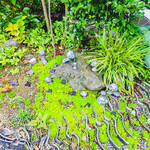 ヨコクラうどん - お店のお庭 ジブリの世界