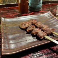 鳥ばか一代 - 