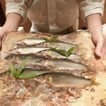 橦木町 しみず - 和良川の鮎