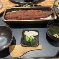 うなぎ四代目菊川 ミッドランドスクエア 名古屋本店 - 