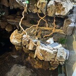 ビストロ ガーデン - ミニチュア