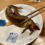食堂 みやざき - 
