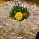 味のまる藤 - 真鯛薄造り