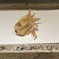 日本橋 蕎ノ字 - 