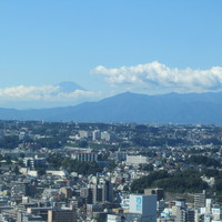 梅の花 横浜スカイビル店 - 景色綺麗ですよい
