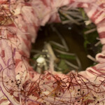 島豚しゃぶしゃぶ ナハバレ - 