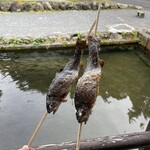 釣り堀CAFE 二見 - 