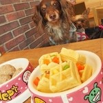 DOG DEPT CAFE - 