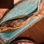 炭炉ばた こみ哉 松山 - 