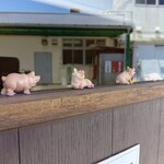 ビストロカシェ - 出入口ドアの豚ちゃんたち