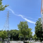 インデアンレストラン  ニューミラ - 