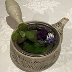 Hirovanna - ハーブティー