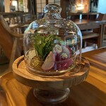 小さな料理店 森乃くじら荘 - 畑のテラリウム 大阪能勢 晴苗農園さんの野菜