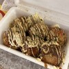 たこ焼き  シオヤ