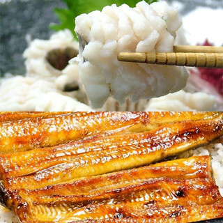 浅草 魚料理 遠州屋_2