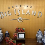 Big Island Candies - 