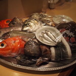 酒菜の肴 遊食家 - 本日のオススメの食材たち