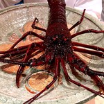 日本料理 別府 廣門 - 