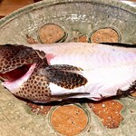 日本料理 別府 廣門 - 